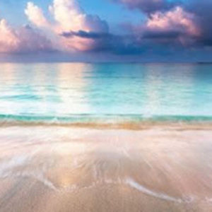 Meet your Posher, Gabriella